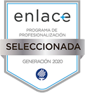 Premio Enlace